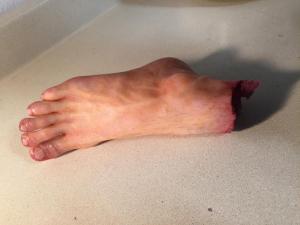 Severed foot, not yet weathered- on table