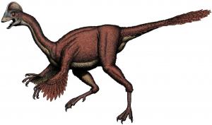 anzu dinosaur reference image