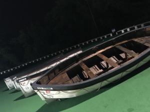 replica titanic lifeboats