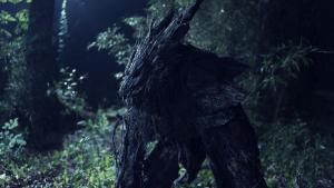 tree wolf on set 2